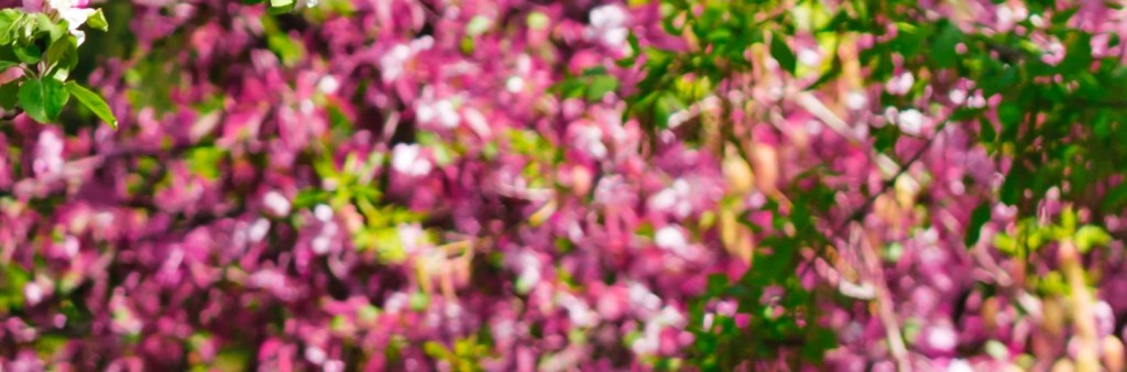 KNOWLEDGE BY MARGARET&nbsp;FULLER