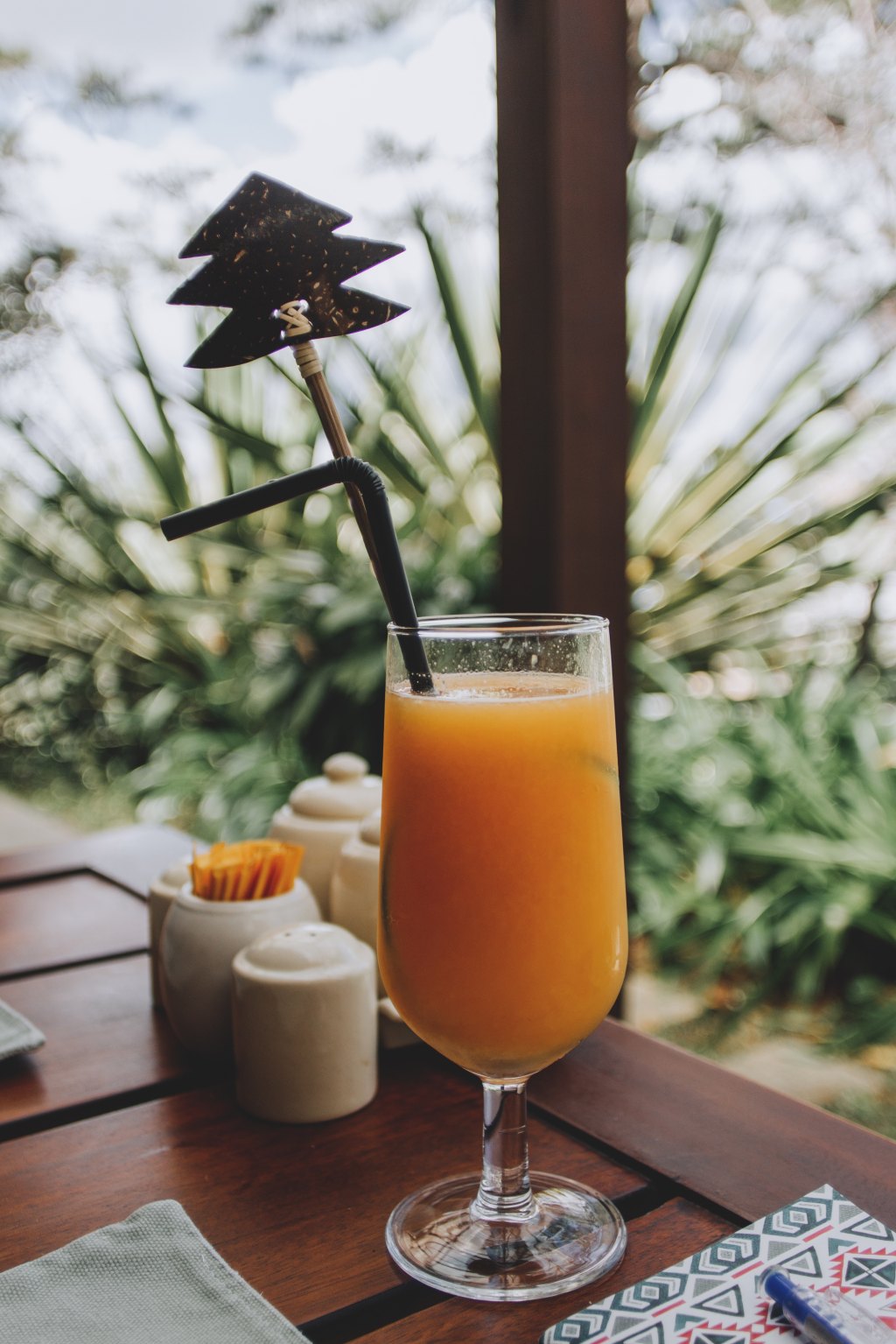 BODY, MIND CONNECTION &&nbsp;FUTURE