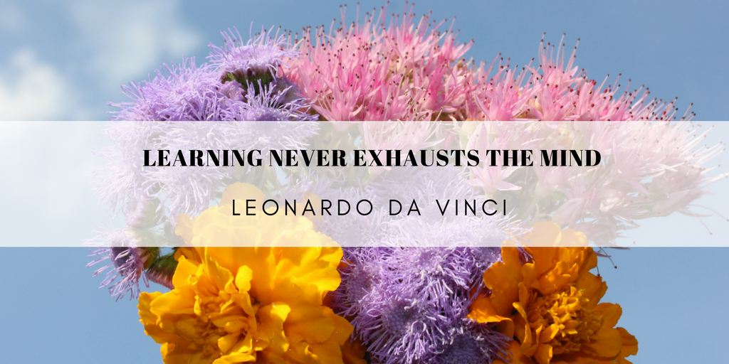LEONARDO_DA_VINCI_LEARNING